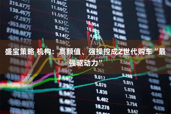 盛宝策略 机构：高颜值、强操控成Z世代购车“最强驱动力”