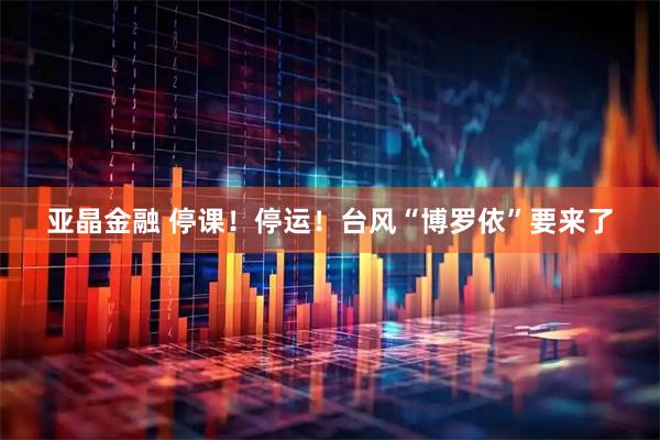 亚晶金融 停课！停运！台风“博罗依”要来了