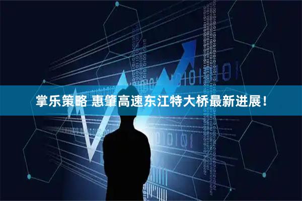 掌乐策略 惠肇高速东江特大桥最新进展！