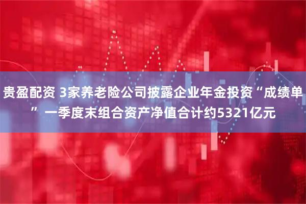 贵盈配资 3家养老险公司披露企业年金投资“成绩单” 一季度末组合资产净值合计约5321亿元