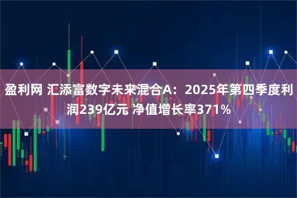 盈利网 汇添富数字未来混合A：2025年第四季度利润239亿元 净值增长率371%